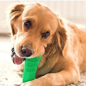 (🎉Big discounts for summer pre-sale🎉)Dog Brushing Stick