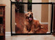 Magic Gate Pet Safe Guard