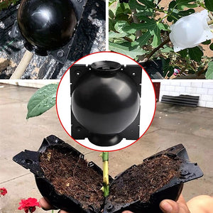 (🎉New Year Big Sale ) -Plant Root Growing Box