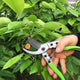 (🎉New Year Big Sale )-Fruit Tree Pruning Shears