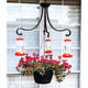 Garden Collection Hanging Hummingbird Feeders